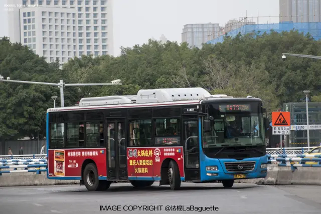 渝A79071