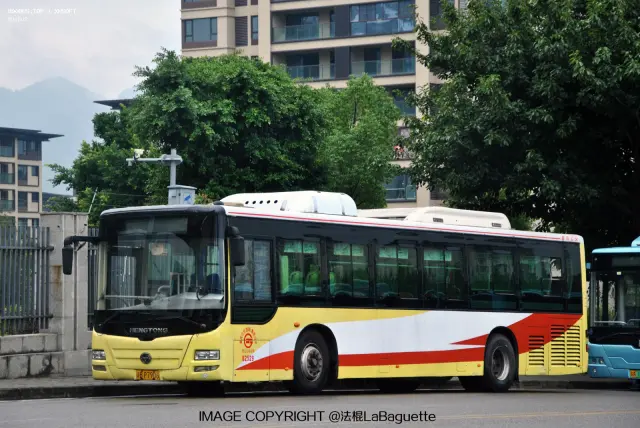 渝B P7906