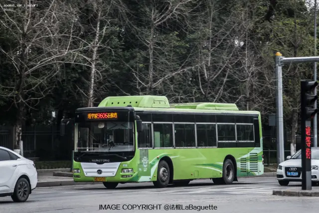 渝BT6920