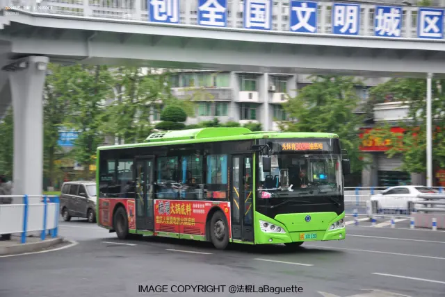 渝A10113D