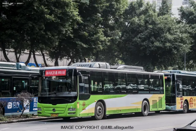 渝B U1203