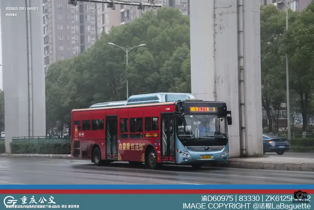 渝D 60975