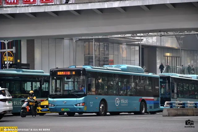 800BUS