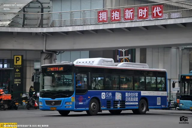 800BUS