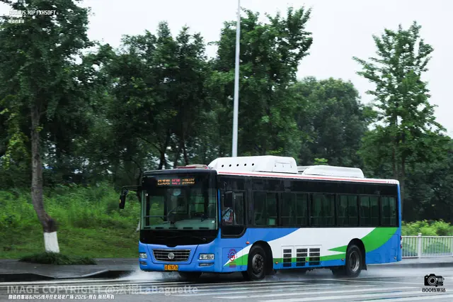 800BUS