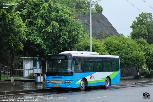 800BUS