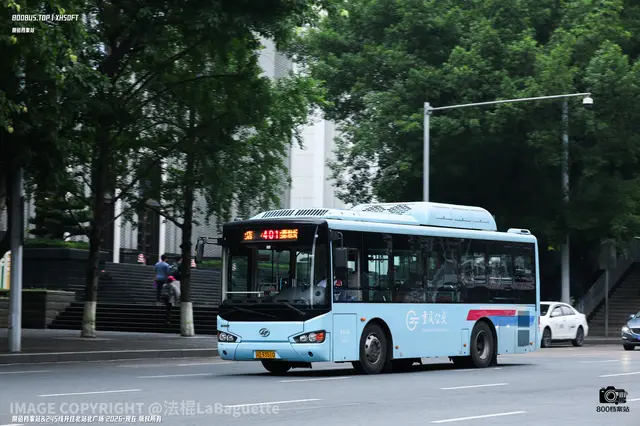 800BUS