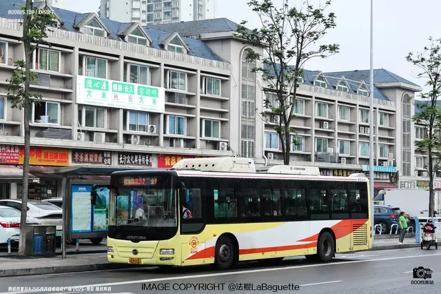 800BUS