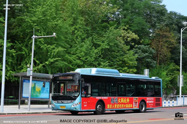 800BUS