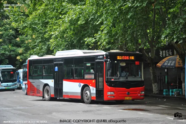 渝B T6889