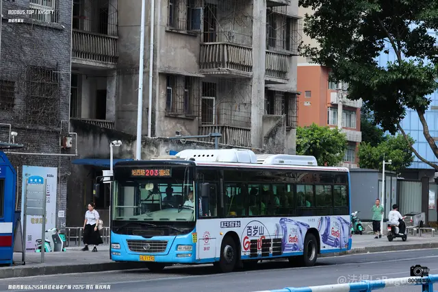800BUS
