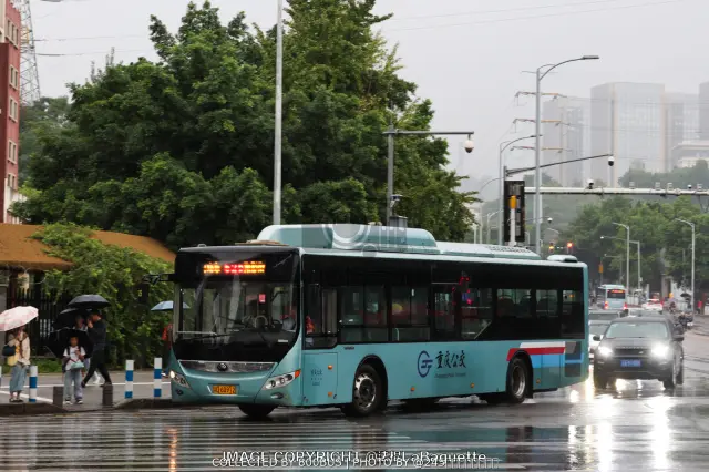 渝D 60912