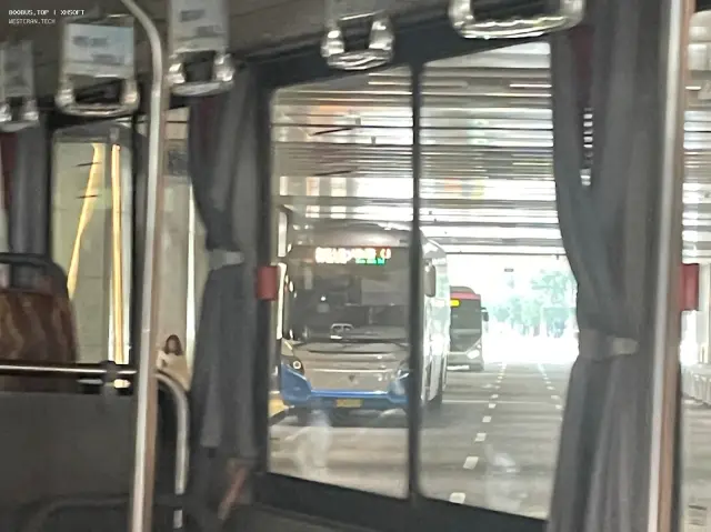 800BUS