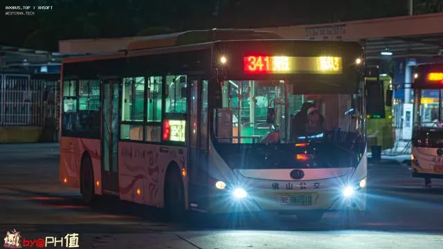 粤E 06751D