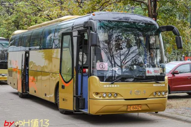 粤E 84429