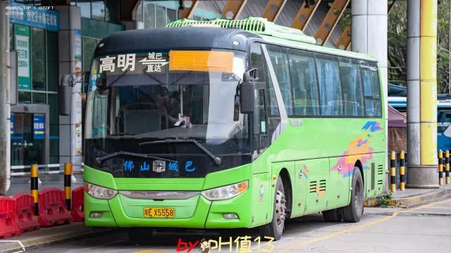 粤E X5558