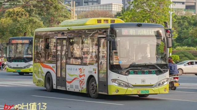 粤E 06026D