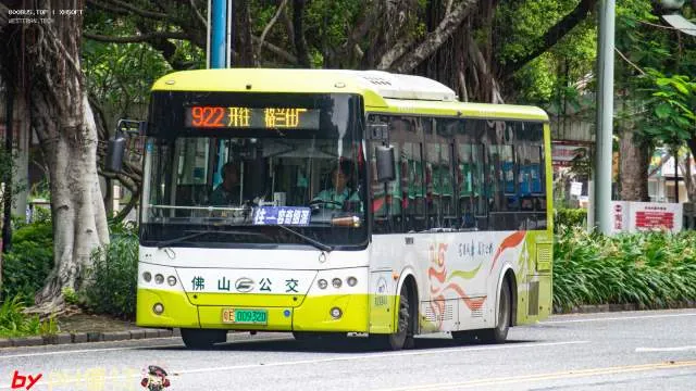 粤E 00932D