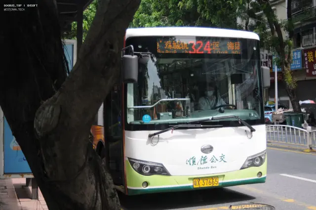 800BUS