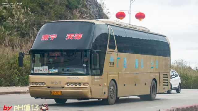 桂A C3015