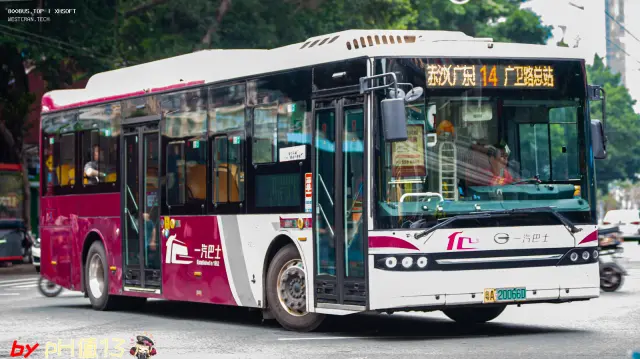 800BUS