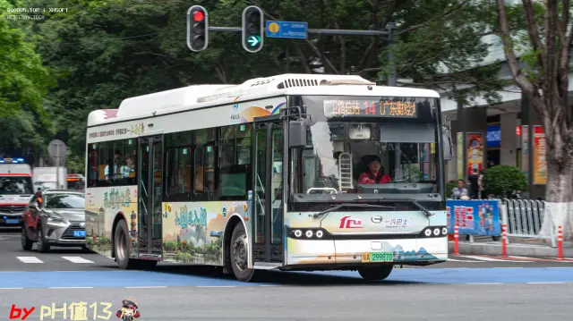 粤A 29987D
