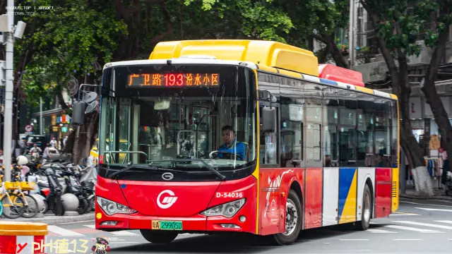 800BUS