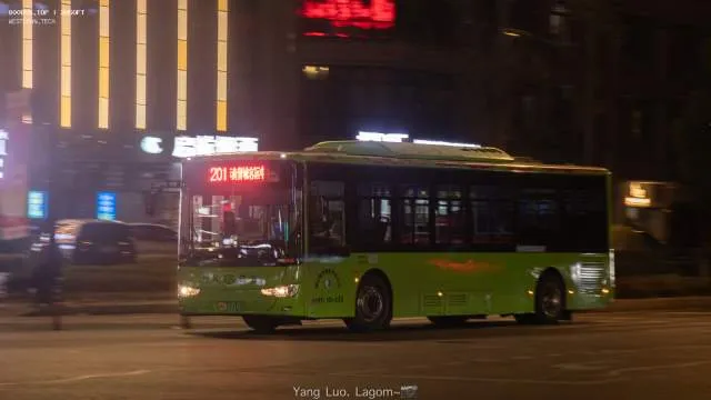 浙G 01971D