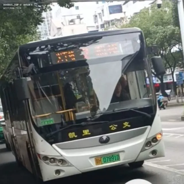 贵H 07891D