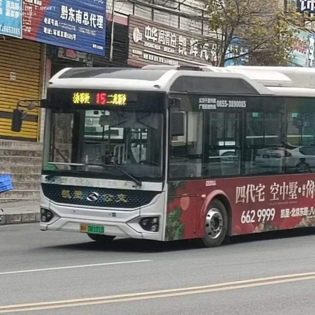 贵H 08101D