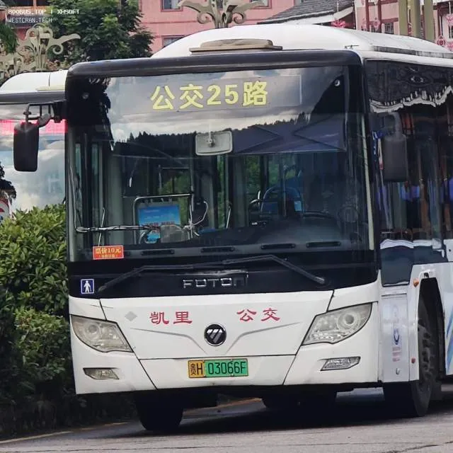 贵H 03066F