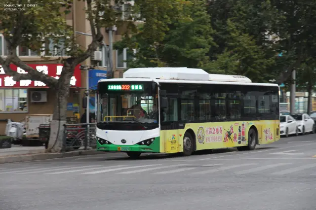 800BUS