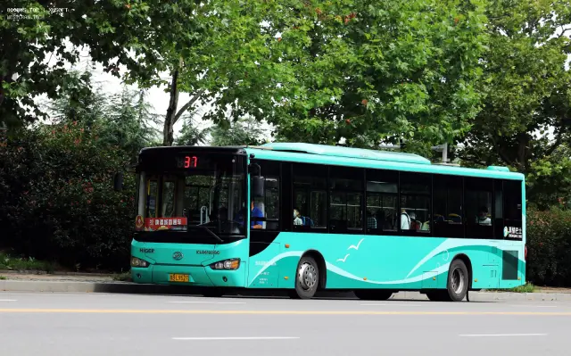 鲁BL9527
