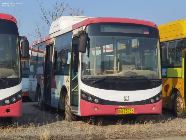 800BUS