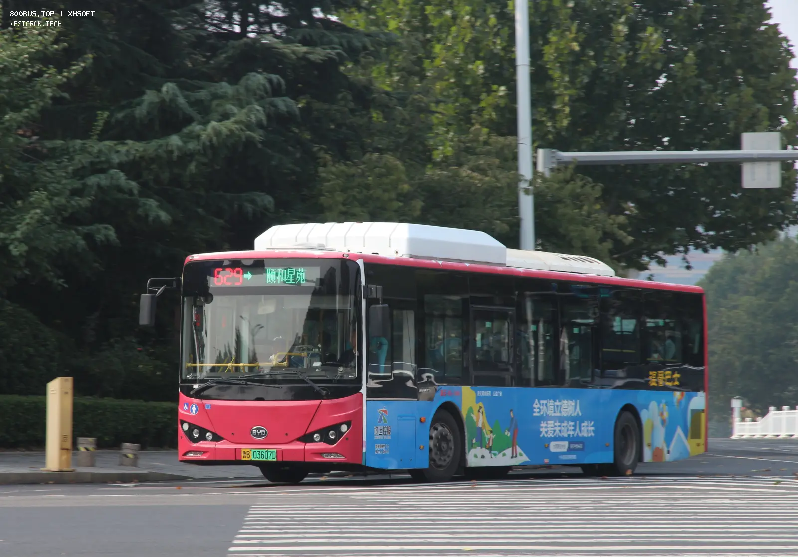 Bus Archive