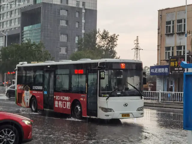 800BUS