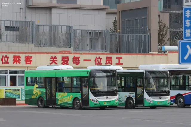 800BUS