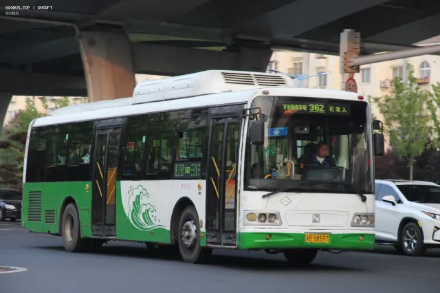 800BUS