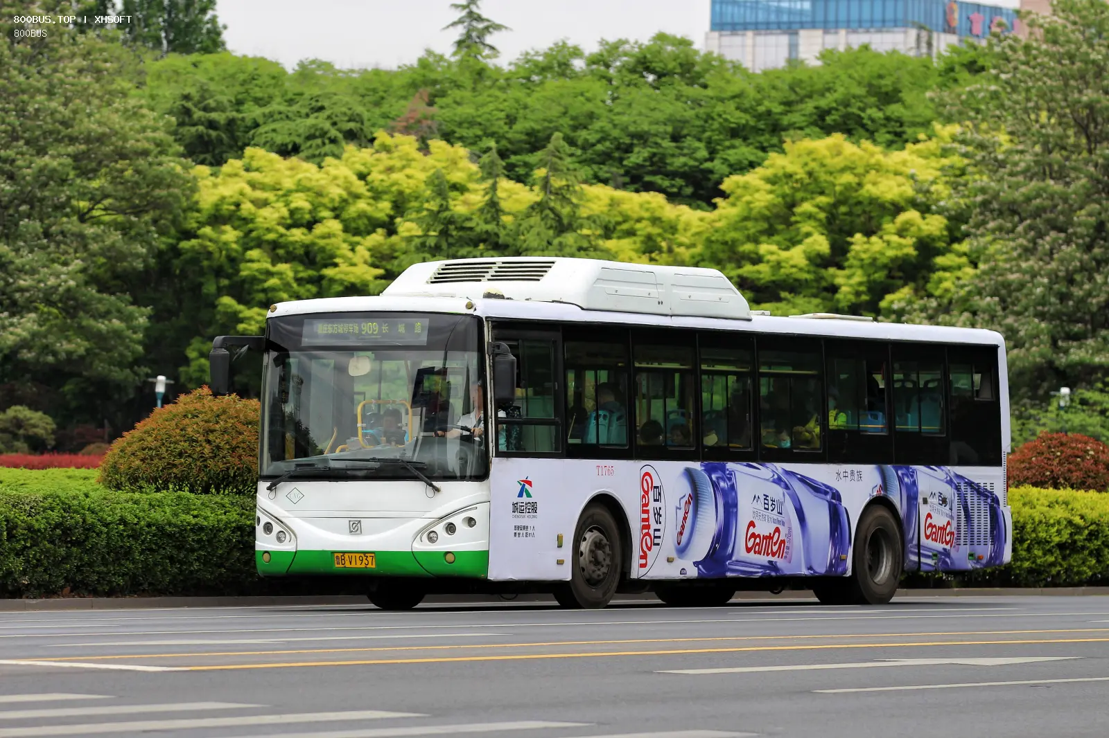 Bus Archive