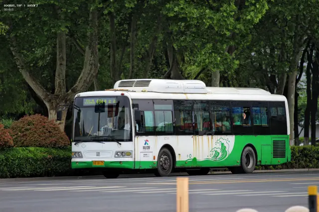 800BUS