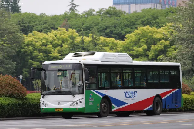 800BUS