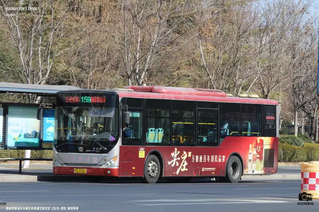 800BUS