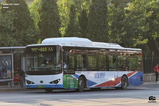 鲁B 03066D