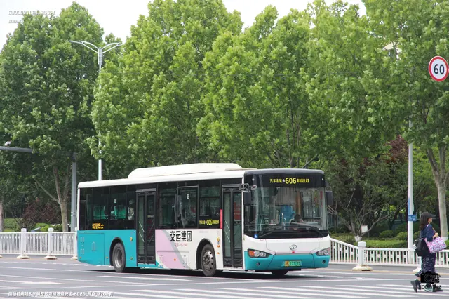 鲁B 17317D