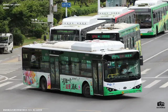 800BUS
