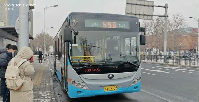 800BUS