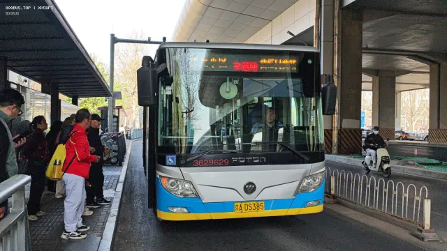 800BUS