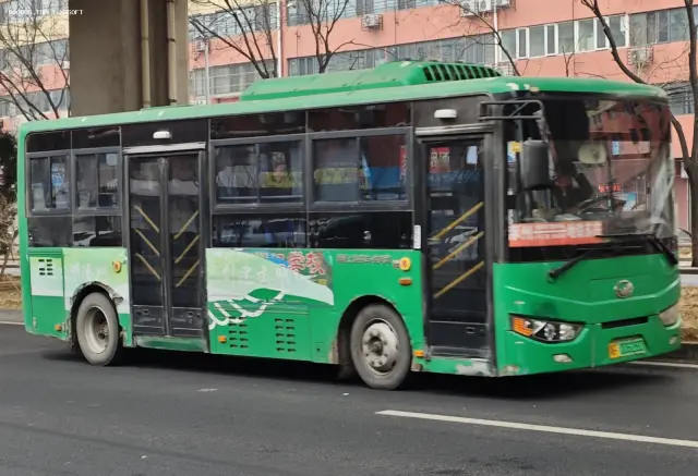 800BUS