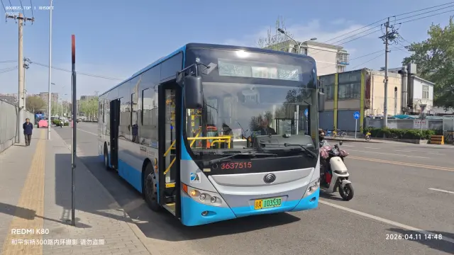800BUS