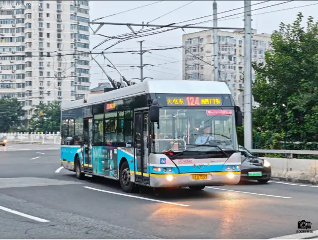 800BUS